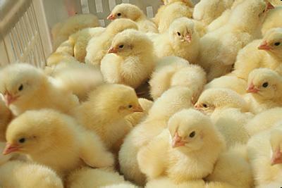 1512978944285737.jpg u=2984875394,3365821411&fm=27&gp=0.jpg