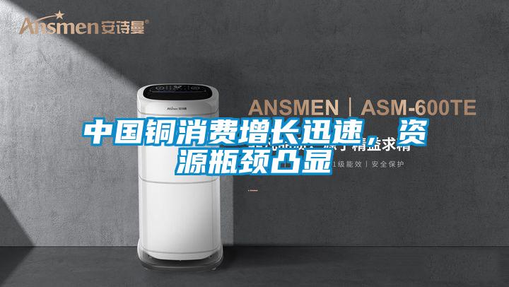 中國(guó)銅消費(fèi)增長(zhǎng)迅速,資源瓶頸凸顯