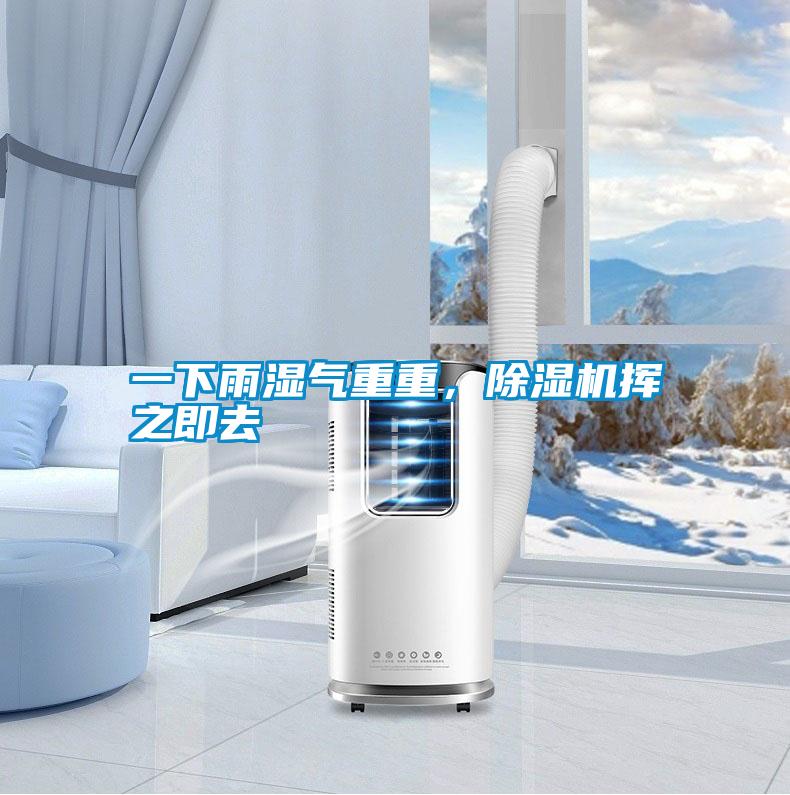 一下雨濕氣重重，除濕機揮之即去