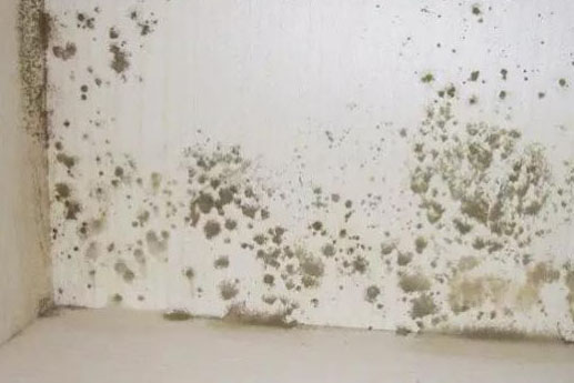 1521788229772442.jpg 墻角發(fā)霉.jpg