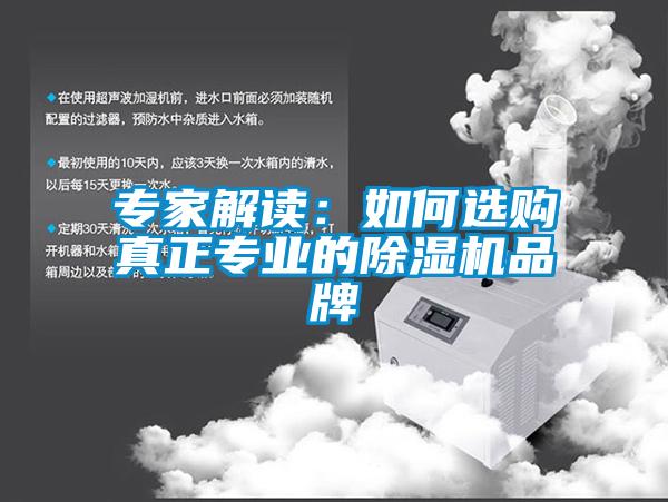 專家解讀:如何選購真正專業(yè)的除濕機品牌