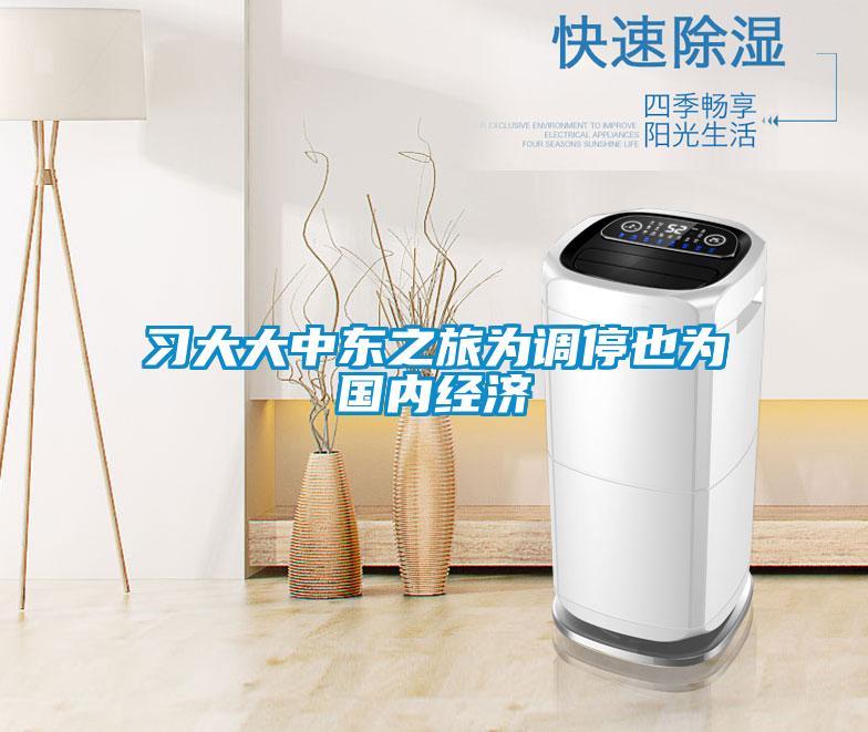 習大大中東之旅為調(diào)停也為國內(nèi)經(jīng)濟