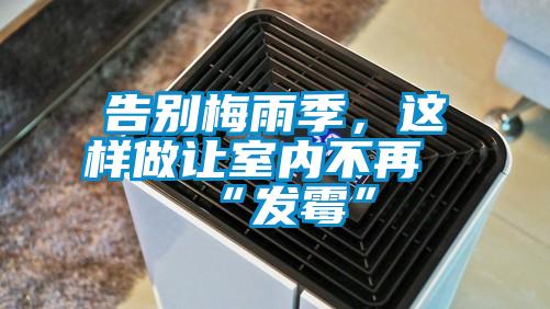 告別梅雨季，這樣做讓室內不再“發霉”