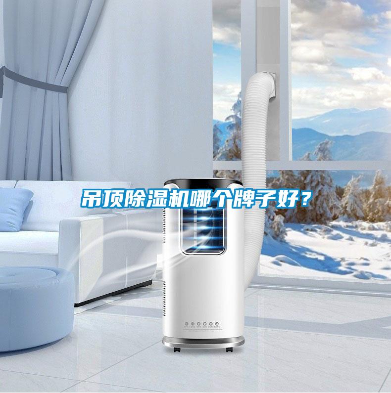 吊頂除濕機哪個牌子好?