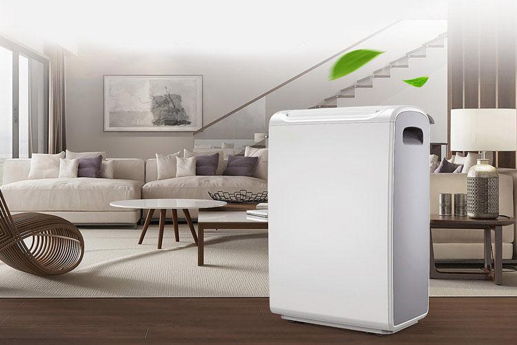 城中村必備家電?宜盾普 YL–2G10EC除濕機(jī)