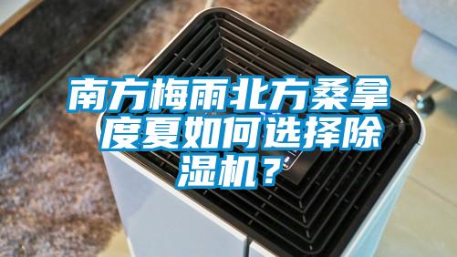 南方梅雨北方桑拿 度夏如何選擇除濕機(jī)？