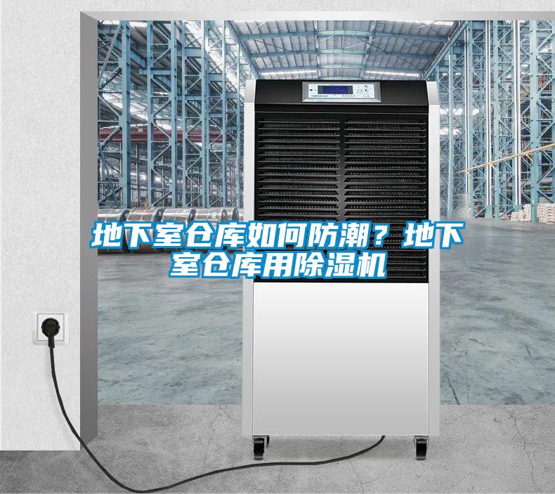 地下室倉庫如何防潮？地下室倉庫用除濕機