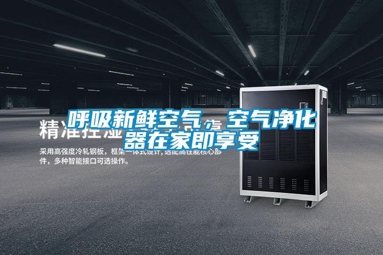 呼吸新鮮空氣，空氣凈化器在家即享受