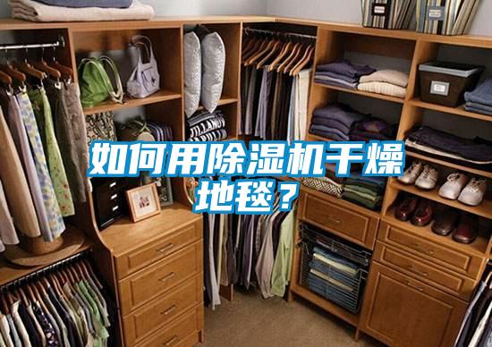 如何用除濕機干燥地毯?