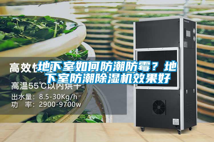 地下室如何防潮防霉？地下室防潮除濕機效果好
