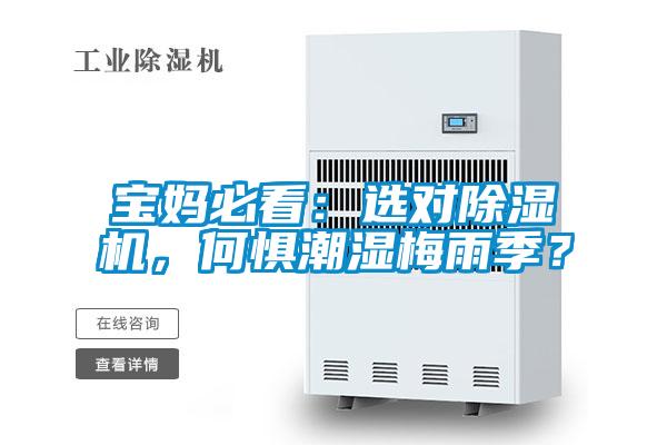 寶媽必看：選對除濕機，何懼潮濕梅雨季？