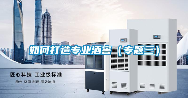 如何打造專業酒窖(專題三)