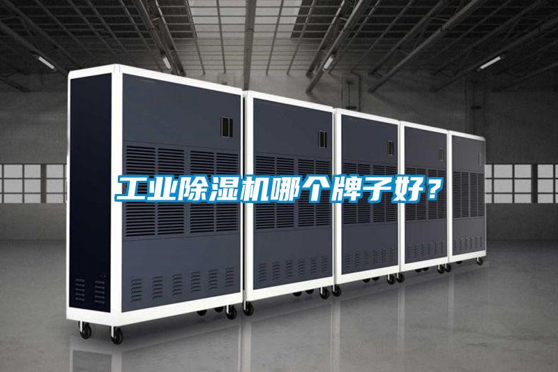工業(yè)除濕機(jī)哪個(gè)牌子好?