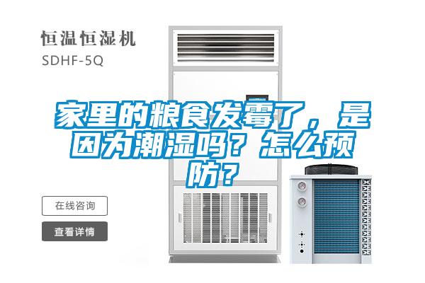家里的糧食發(fā)霉了,是因?yàn)槌睗駟幔吭趺搭A(yù)防?