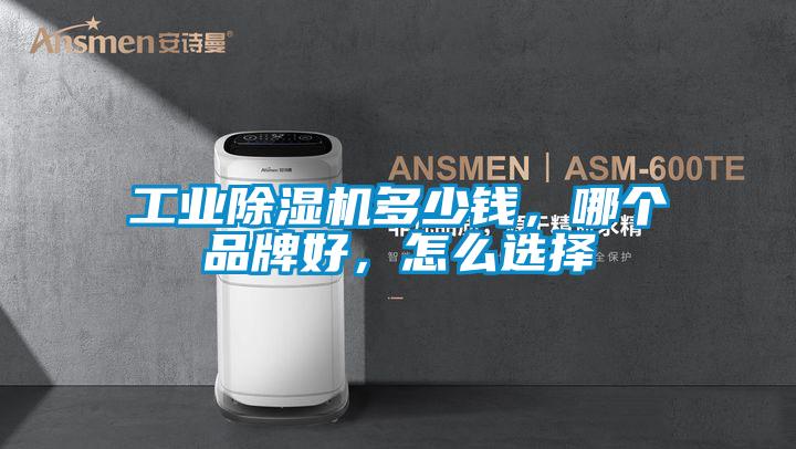 工業除濕機多少錢,哪個品牌好,怎么選擇