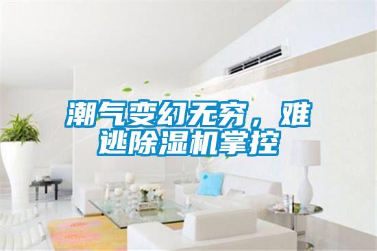 潮氣變幻無窮，難逃除濕機掌控