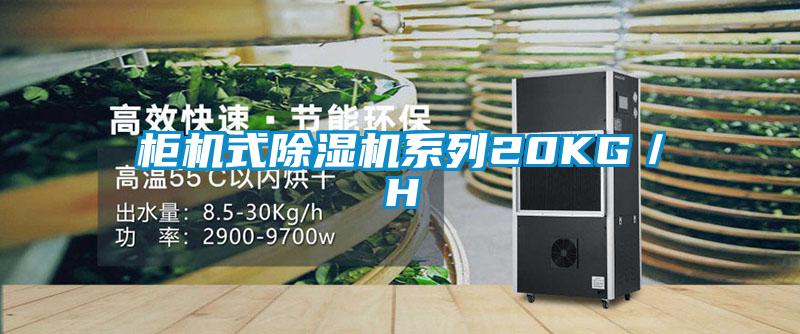 柜機式除濕機系列20KG/H