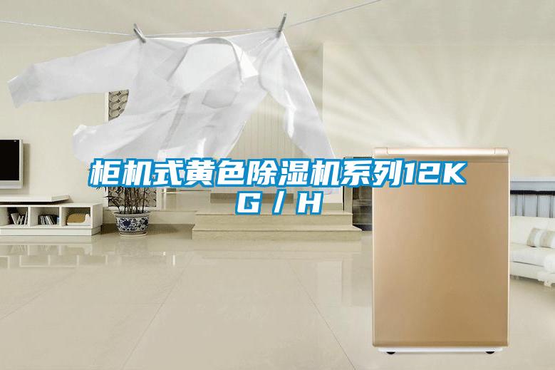 柜機式黃色除濕機系列12KG/H