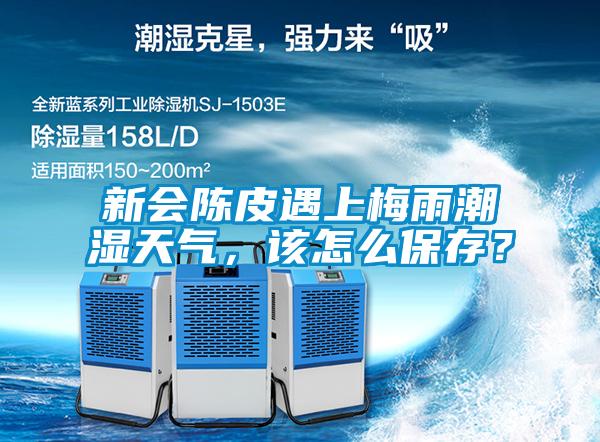 新會陳皮遇上梅雨潮濕天氣，該怎么保存？