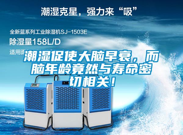 潮濕促使大腦早衰，而腦年齡竟然與壽命密切相關(guān)！