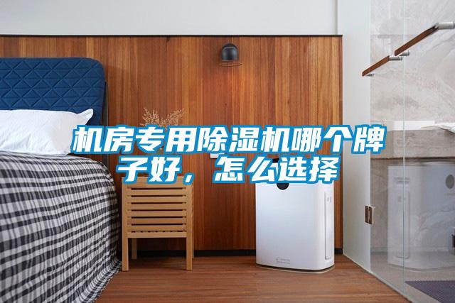 機房專用除濕機哪個牌子好,怎么選擇