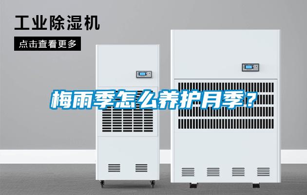 梅雨季怎么養(yǎng)護(hù)月季?