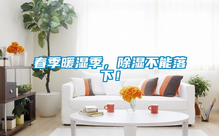 春季暖濕季,除濕不能落下!