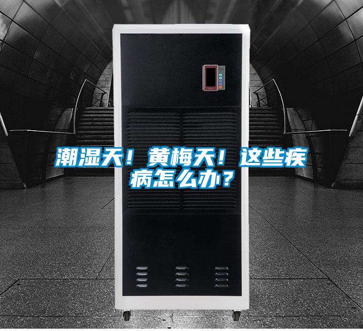 潮濕天！黃梅天！這些疾病怎么辦？