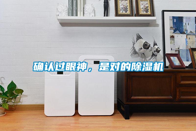 確認過眼神，是對的除濕機