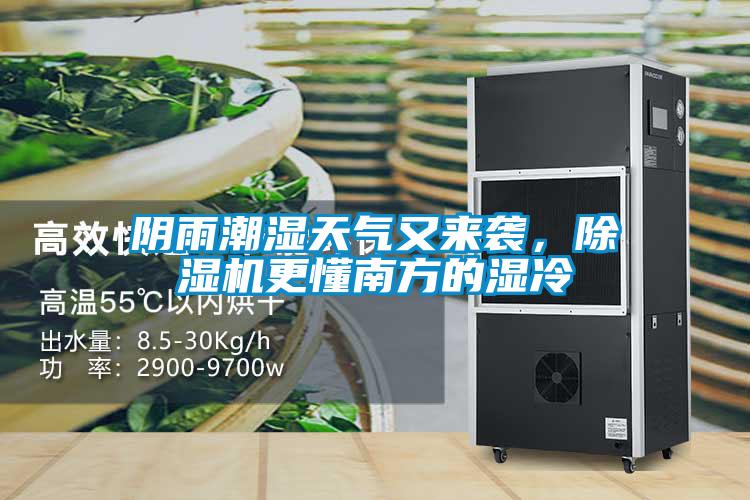 陰雨潮濕天氣又來襲,除濕機(jī)更懂南方的濕冷