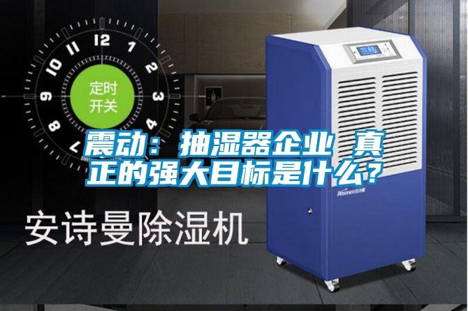 震動：抽濕器企業(yè) 真正的強大目標是什么？