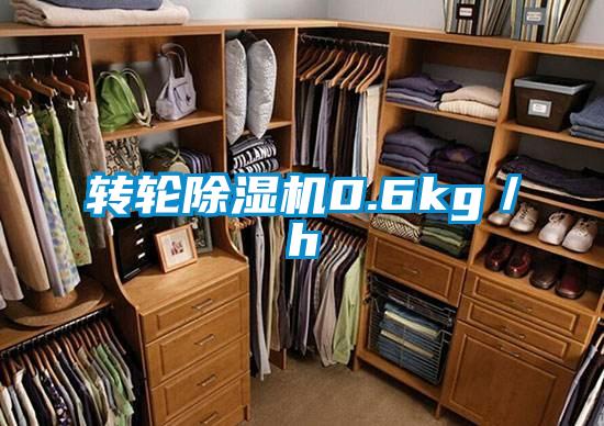 轉(zhuǎn)輪除濕機(jī)0.6kg/h