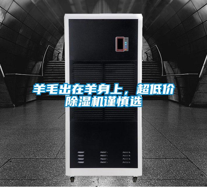 羊毛出在羊身上,超低價除濕機謹慎選
