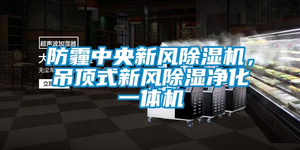 防霾中央新風(fēng)除濕機(jī),吊頂式新風(fēng)除濕凈化一體機(jī)