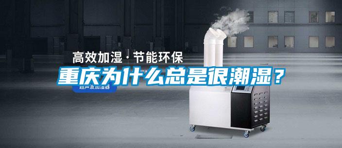重慶為什么總是很潮濕?