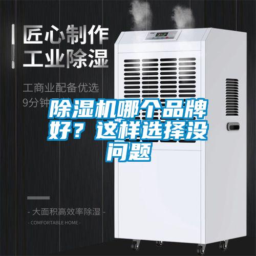 除濕機哪個品牌好？這樣選擇沒問題
