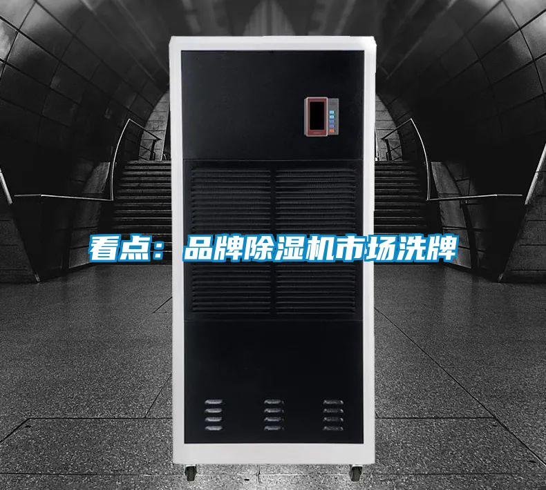看點:品牌除濕機市場洗牌