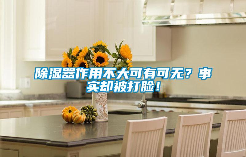 除濕器作用不大可有可無?事實卻被打臉!