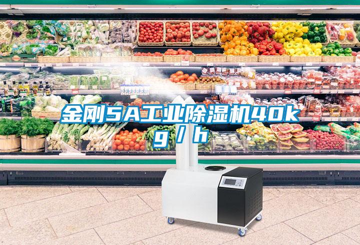 金剛5A工業除濕機40kg/h