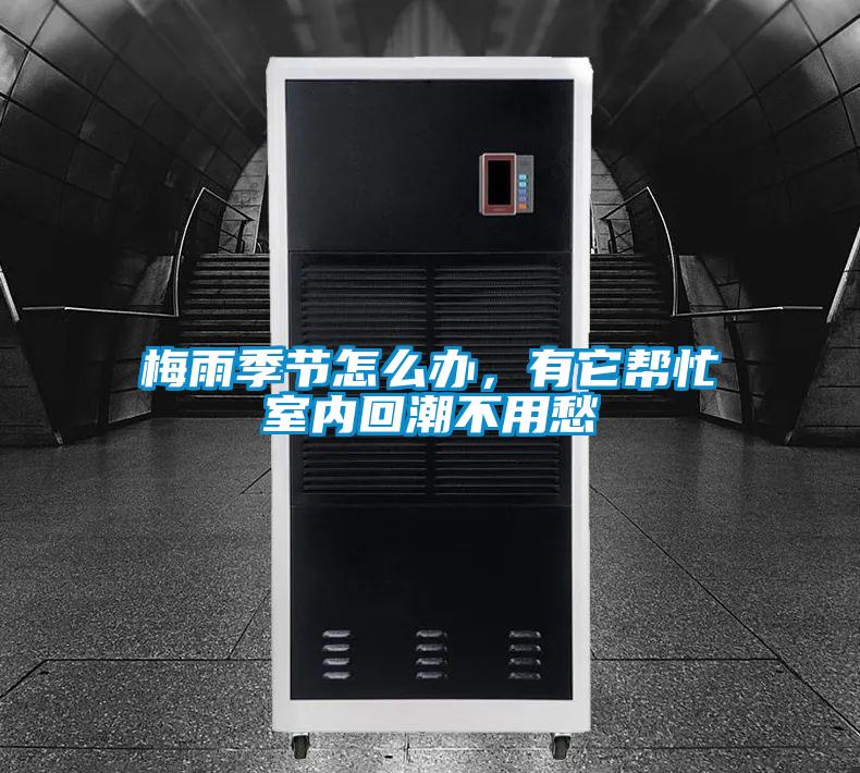 梅雨季節(jié)怎么辦，有它幫忙室內(nèi)回潮不用愁