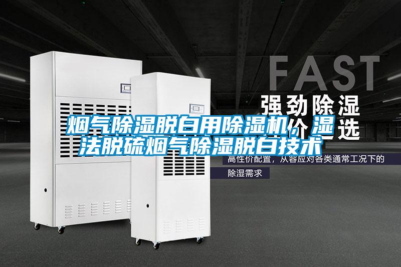 煙氣除濕脫白用除濕機(jī),濕法脫硫煙氣除濕脫白技術(shù)