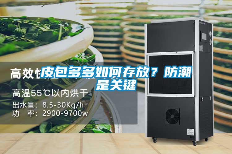 皮包多多如何存放？防潮是關鍵