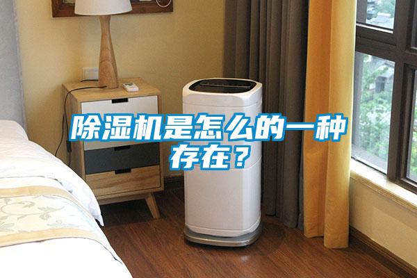 除濕機是怎么的一種存在?