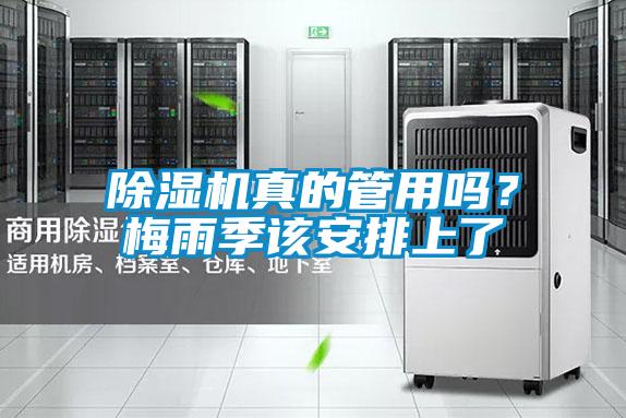 除濕機真的管用嗎?梅雨季該安排上了