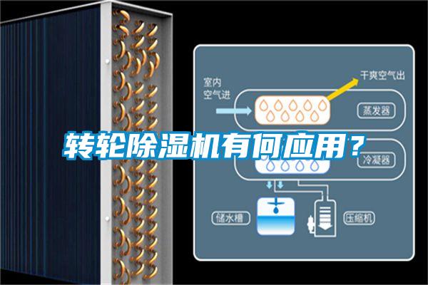 轉(zhuǎn)輪除濕機有何應(yīng)用?