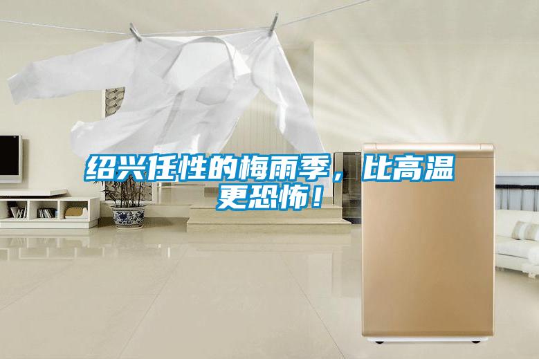 紹興任性的梅雨季，比高溫更恐怖！