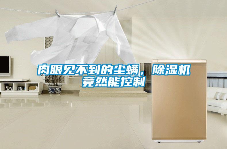 肉眼見不到的塵螨，除濕機竟然能控制