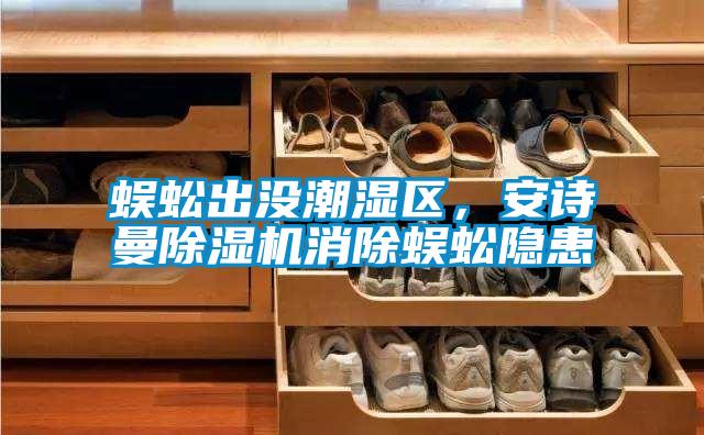 蜈蚣出沒潮濕區，安詩曼除濕機消除蜈蚣隱患
