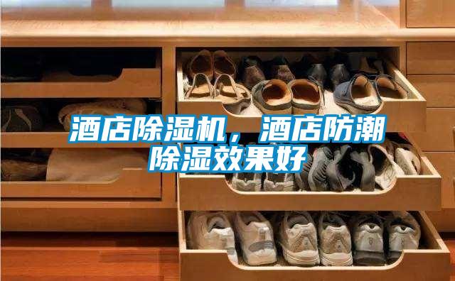 酒店除濕機，酒店防潮除濕效果好