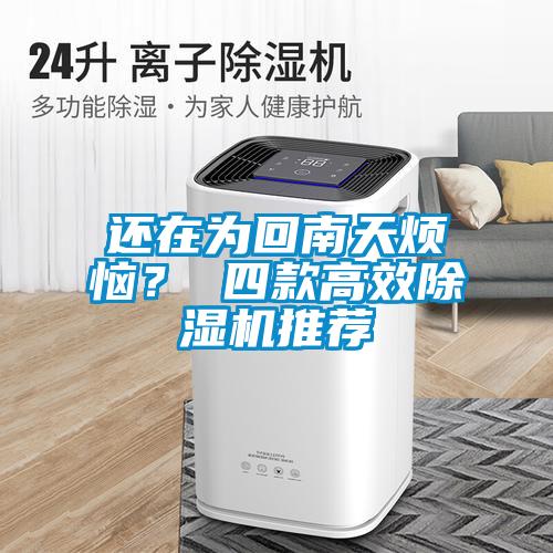 還在為回南天煩惱？ 四款高效除濕機推薦